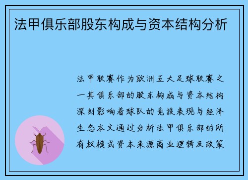 法甲俱乐部股东构成与资本结构分析