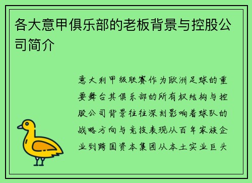 各大意甲俱乐部的老板背景与控股公司简介